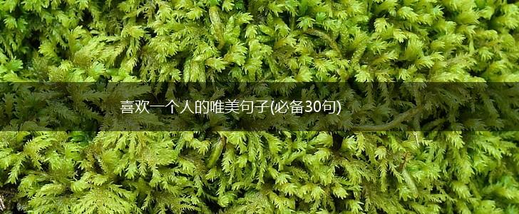 喜欢一个人的唯美句子(必备30句),第1张