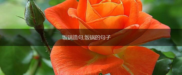 饭锅造句,饭锅的句子,第1张 饭锅造句,饭锅的句子,第1张