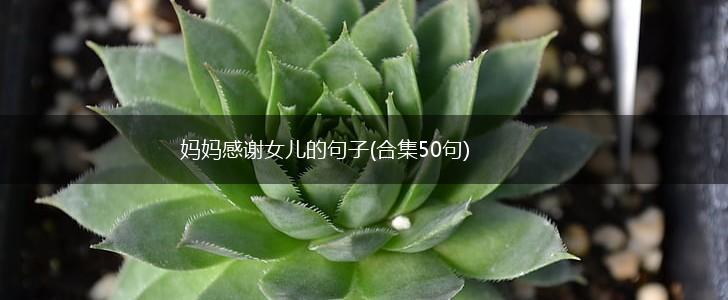 妈妈感谢女儿的句子(合集50句),第1张