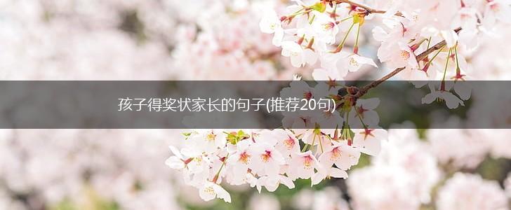 孩子得奖状家长的句子(推荐20句),第1张