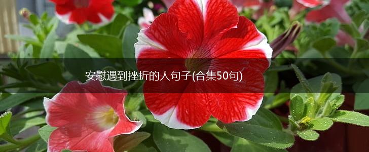 安慰遇到挫折的人句子(合集50句),第1张