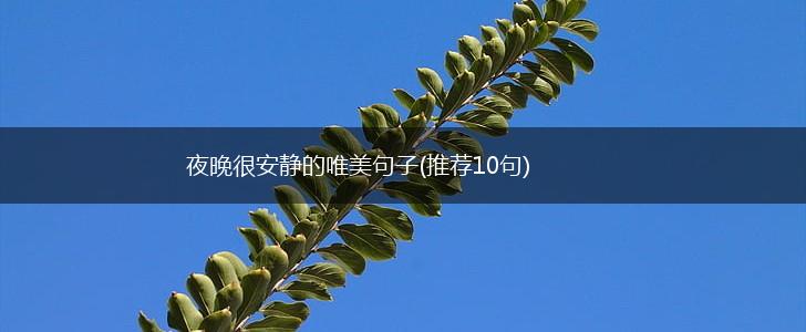 夜晚很安静的唯美句子(推荐10句),第1张