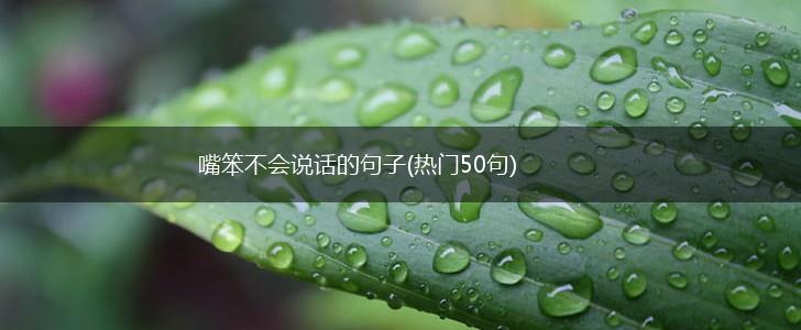 嘴笨不会说话的句子(热门50句),第1张