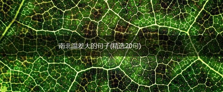 南北温差大的句子(精选20句),第1张