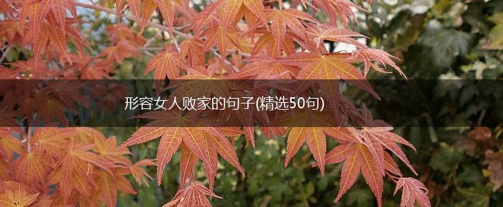 形容女人败家的句子(精选50句),第1张