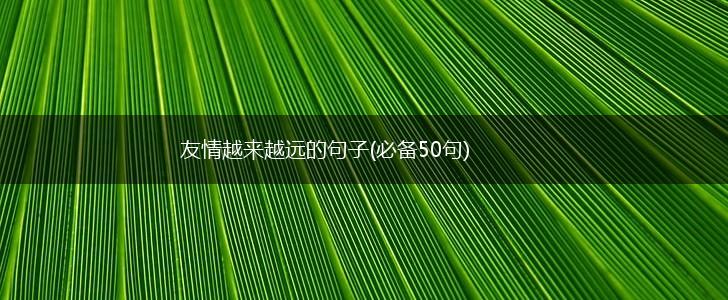 友情越来越远的句子(必备50句),第1张