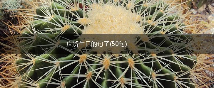 庆贺生日的句子(50句),第1张