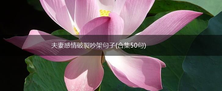 夫妻感情破裂吵架句子(合集50句),第1张