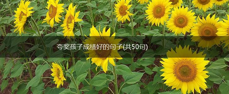 夸奖孩子成绩好的句子(共50句),第1张