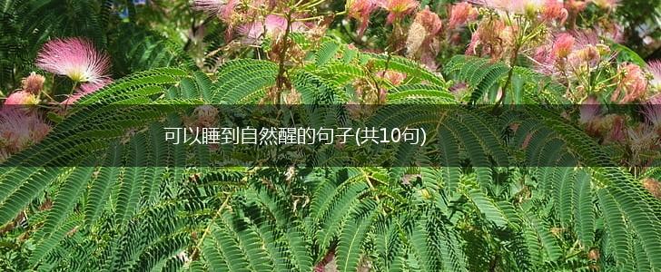可以睡到自然醒的句子(共10句),第1张