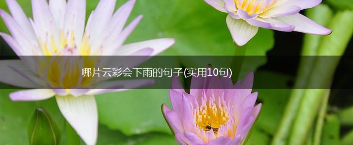 哪片云彩会下雨的句子(实用10句),第1张