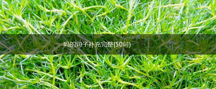 吗的句子补充完整(50句),第1张