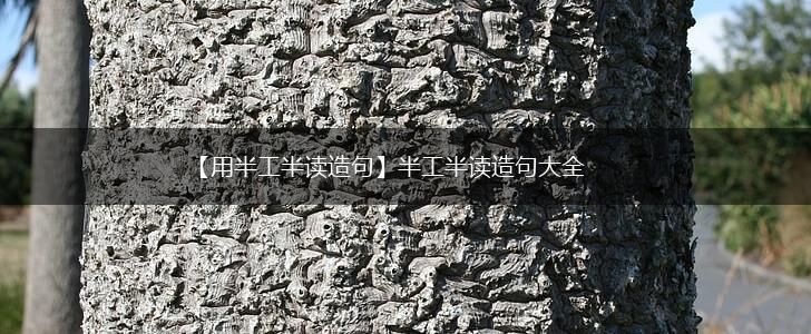【用半工半读造句】半工半读造句大全,第1张