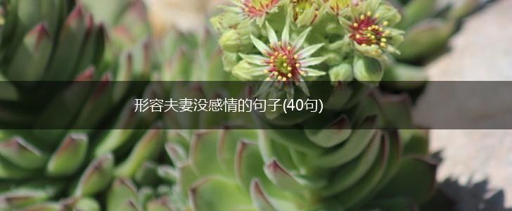 形容夫妻没感情的句子(40句),第1张