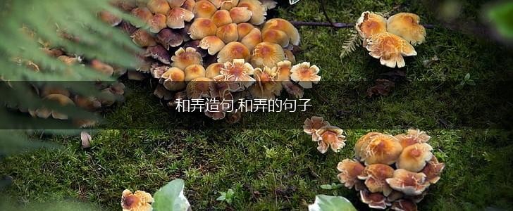 和弄造句,和弄的句子,第1张 和弄造句,和弄的句子,第1张
