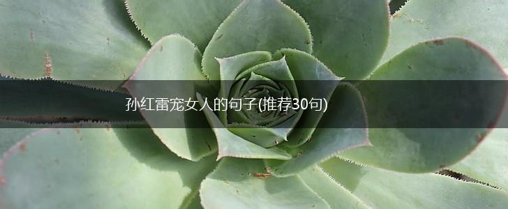 孙红雷宠女人的句子(推荐30句),第1张