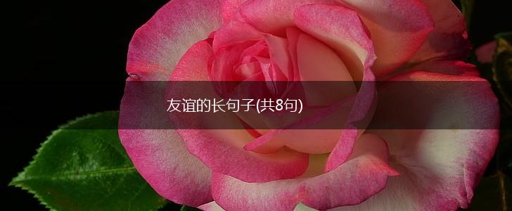 友谊的长句子(共8句),第1张