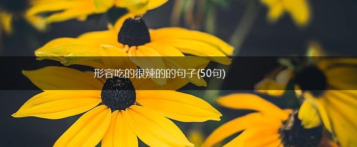 形容吃的很辣的的句子(50句),第1张