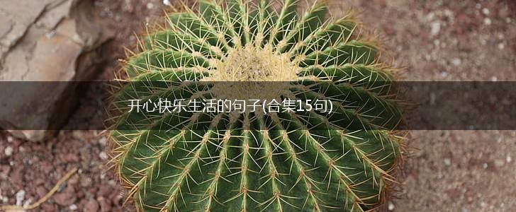 开心快乐生活的句子(合集15句),第1张