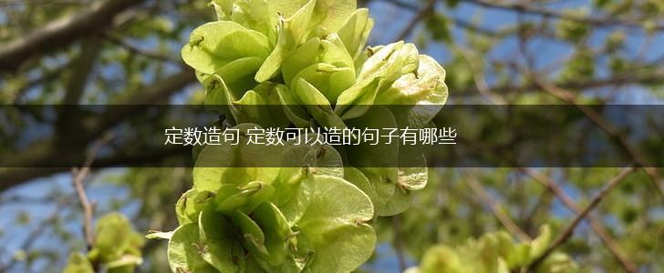 定数造句 定数可以造的句子有哪些,第1张