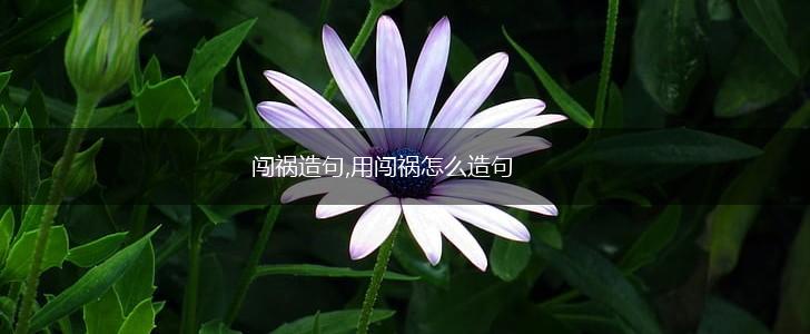闯祸造句,用闯祸怎么造句,第1张