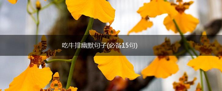 吃牛排幽默句子(必备15句),第1张