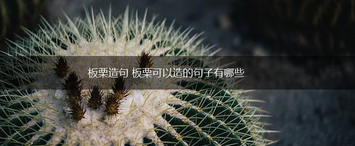板栗造句 板栗可以造的句子有哪些,第1张