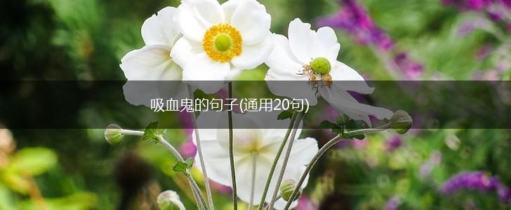 吸血鬼的句子(通用20句),第1张