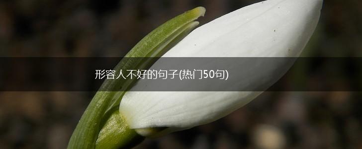 形容人不好的句子(热门50句),第1张
