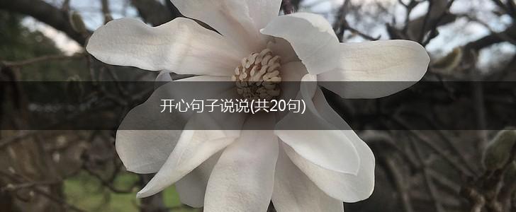 开心句子说说(共20句),第1张