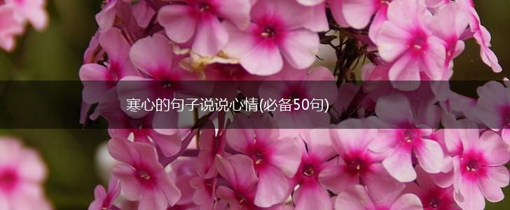 寒心的句子说说心情(必备50句),第1张