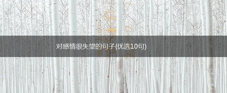 对感情很失望的句子(优选10句),第1张