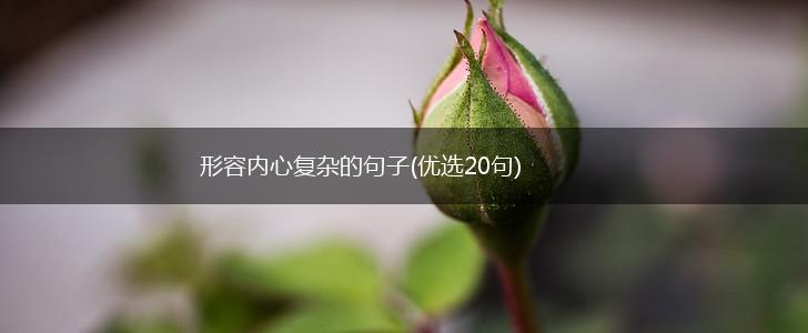 形容内心复杂的句子(优选20句),第1张
