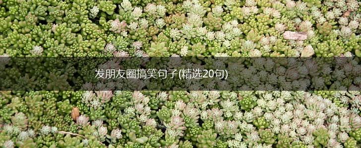 发朋友圈搞笑句子(精选20句),第1张