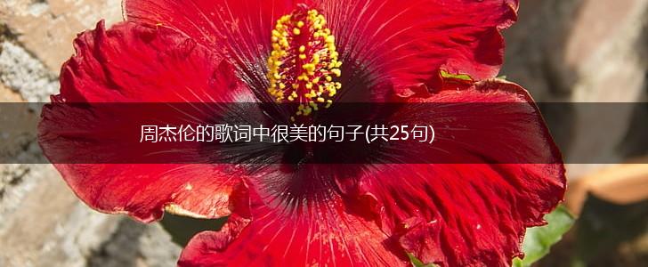 周杰伦的歌词中很美的句子(共25句),第1张