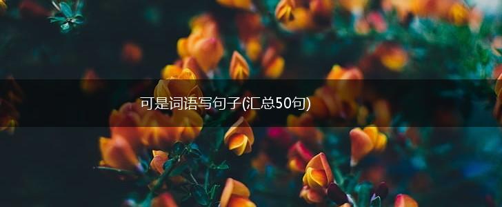 可是词语写句子(汇总50句),第1张