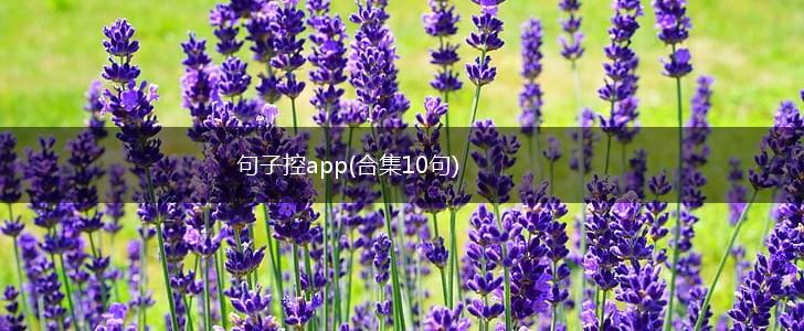 句子控app(合集10句),第1张