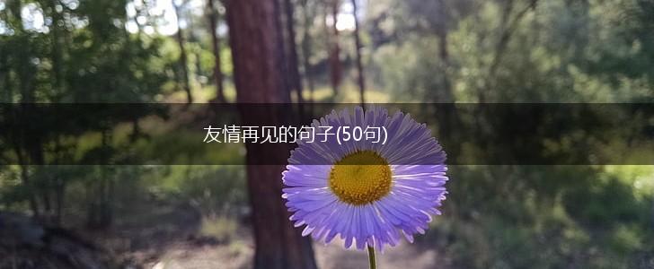 友情再见的句子(50句),第1张