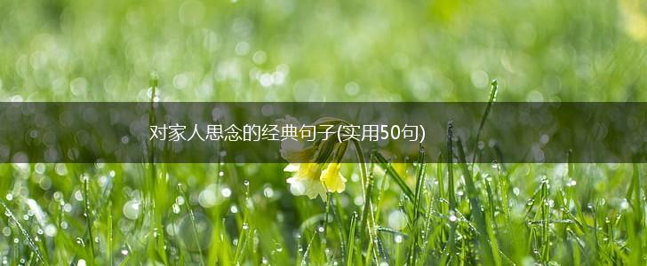 对家人思念的经典句子(实用50句),第1张