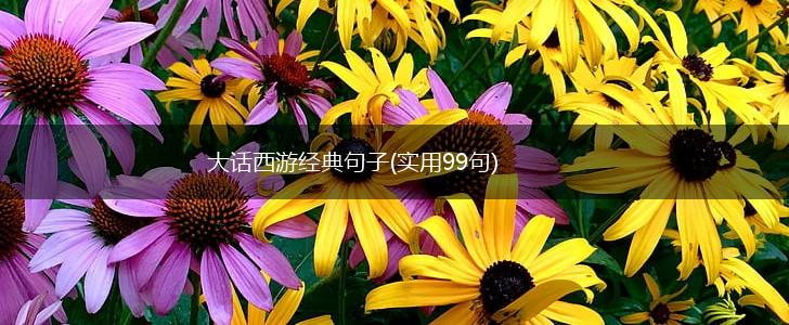 大话西游经典句子(实用99句),第1张