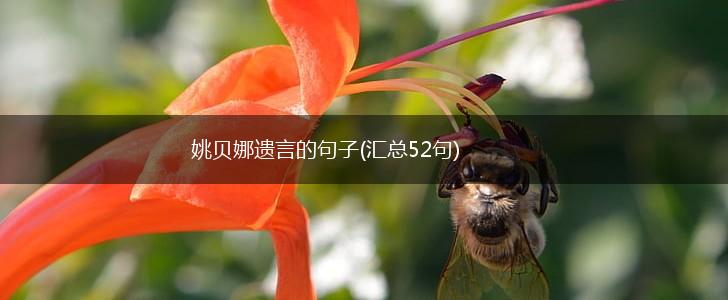 姚贝娜遗言的句子(汇总52句),第1张