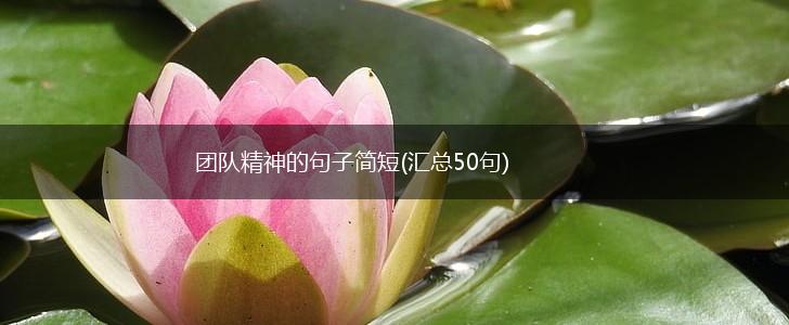 团队精神的句子简短(汇总50句),第1张