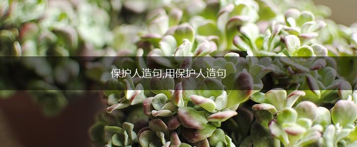 保护人造句,用保护人造句,第1张