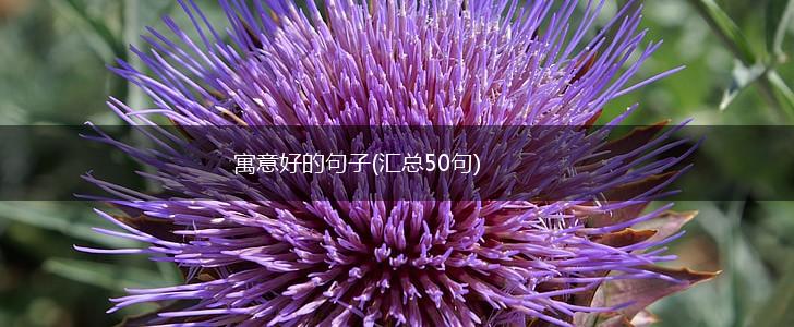 寓意好的句子(汇总50句),第1张