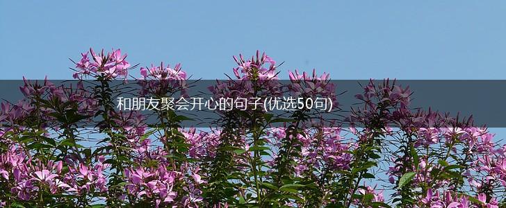 和朋友聚会开心的句子(优选50句),第1张