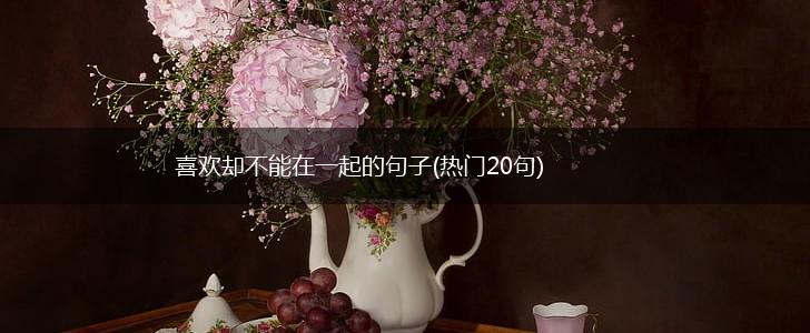 喜欢却不能在一起的句子(热门20句),第1张