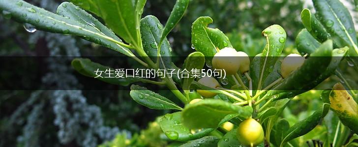 女生爱口红的句子(合集50句),第1张