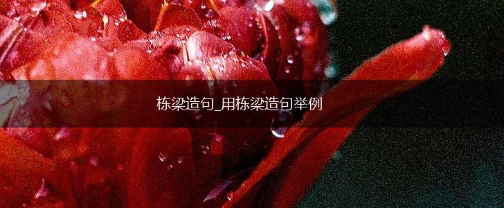 栋梁造句_用栋梁造句举例,第1张