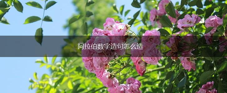 阿拉伯数字造句怎么造,第1张