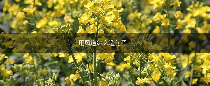 用风道怎么造句子,第1张 用风道怎么造句子,第1张
